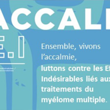 accalmei logo